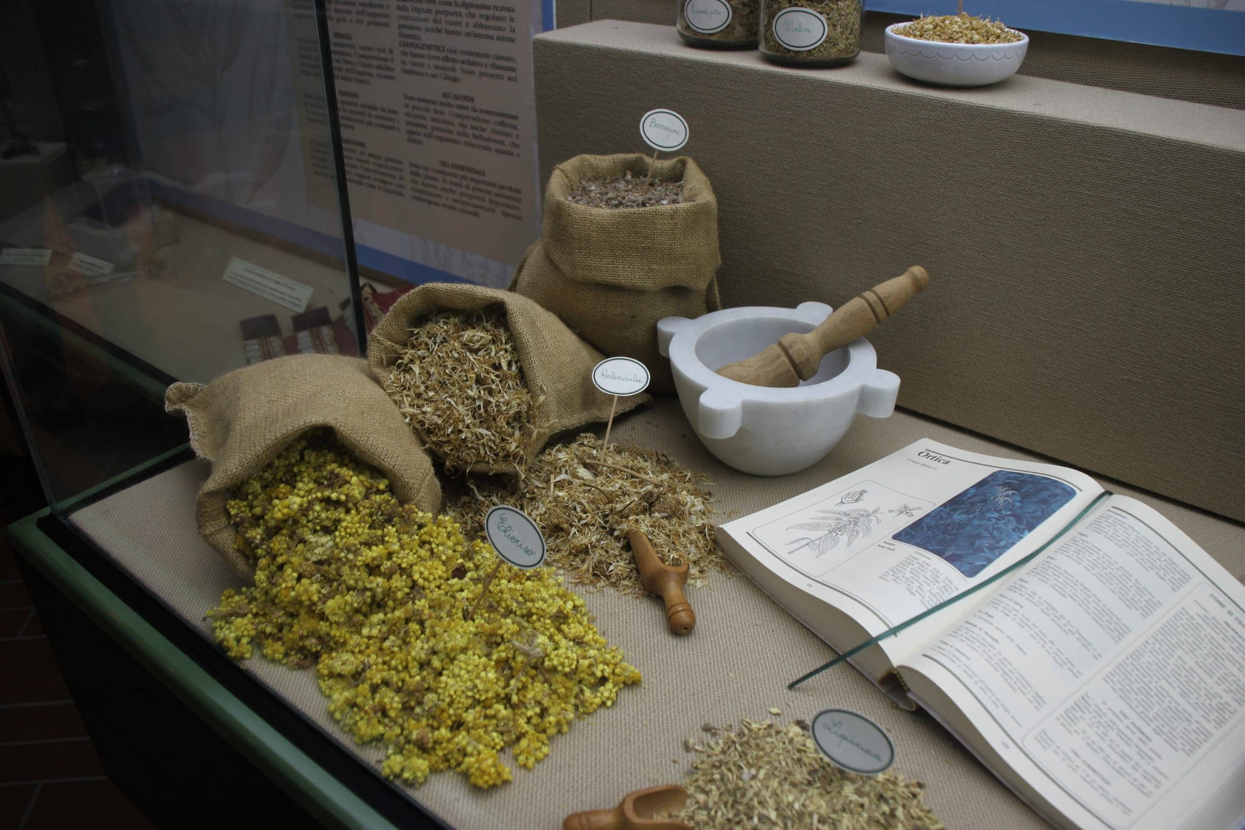 botanica2